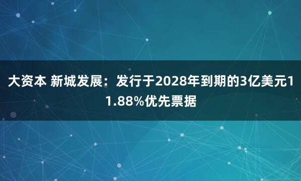 大资本 新城发展：发行于2028年到期的3亿美元11.88%优先票据