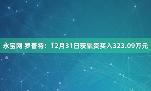永宝网 罗普特：12月31日获融资买入323.09万元
