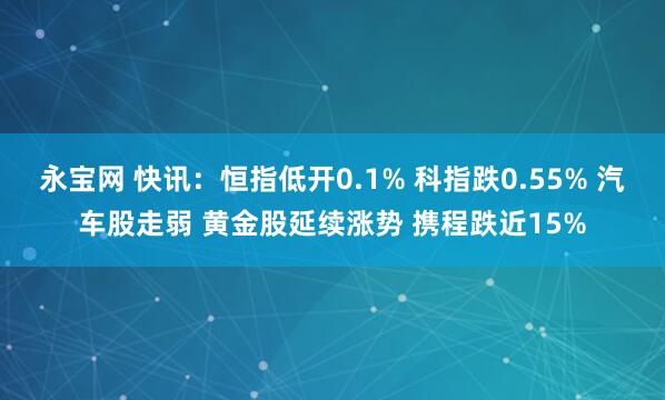 永宝网 快讯：恒指低开0.1% 科指跌0.55% 汽车股走弱 黄金股延续涨势 携程跌近15%