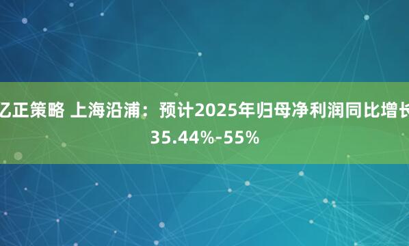 亿正策略 上海沿浦：预计2025年归母净利润同比增长35.44%-55%