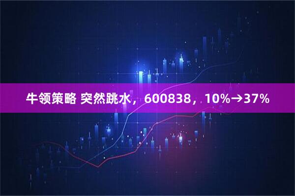 牛领策略 突然跳水，600838，10%→37%
